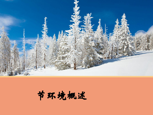 环境概述PPT课件(上课用)1