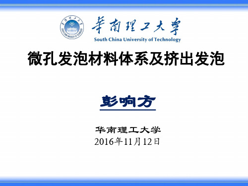 微孔发泡材料体系及挤出发泡 华南理工大学彭响方 