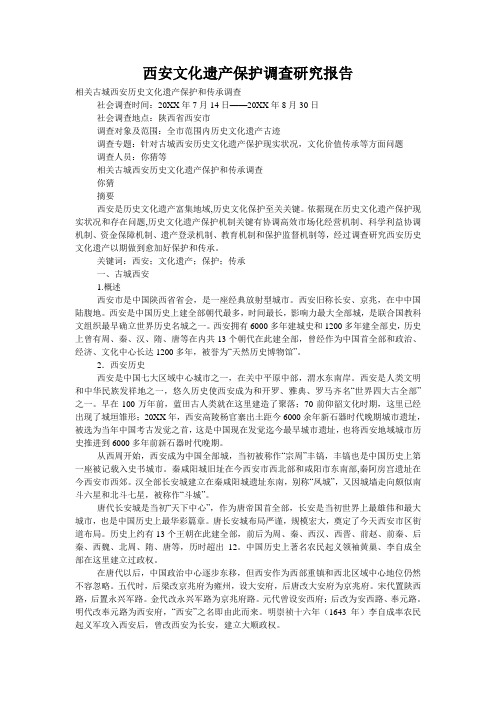 西安文化遗产保护调查研究报告
