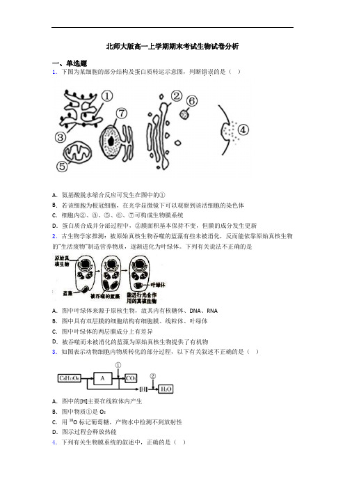 北师大版高一上学期期末考试生物试卷分析