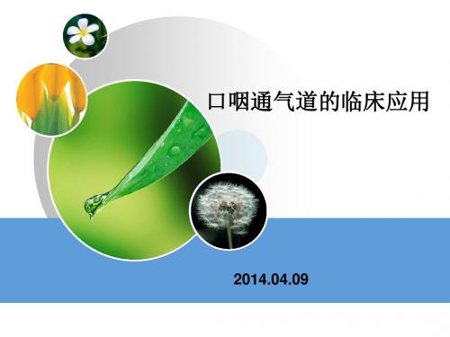 口咽通气道的临床应用 ()ppt课件