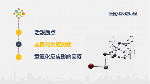 重氮化反应历程