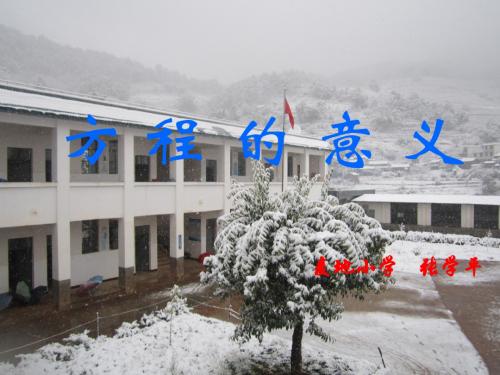 《方程的意义》PPT