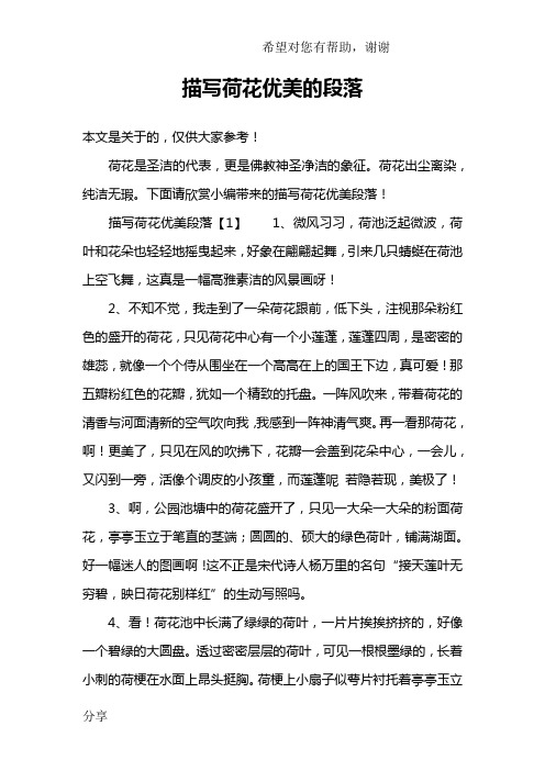描写荷花优美的段落