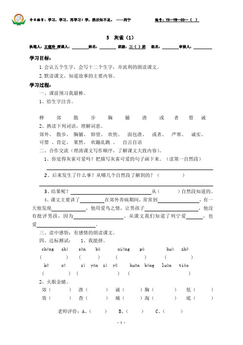 5灰雀