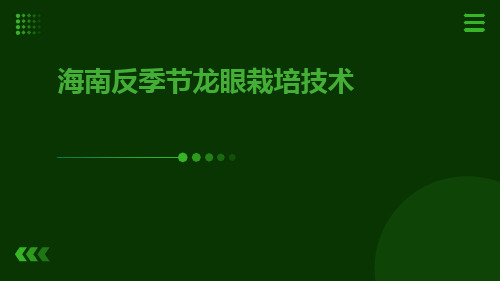 海南反季节龙眼栽培技术
