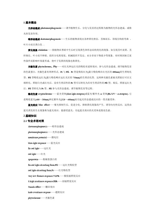 光形态建成