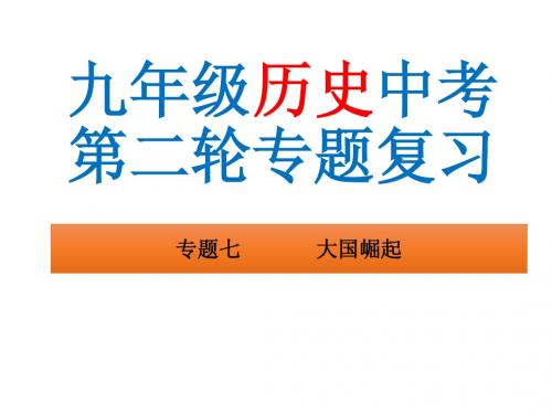 2015中考历史冲刺二轮复习专题七 大国崛起
