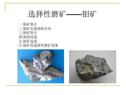 选择性磨矿