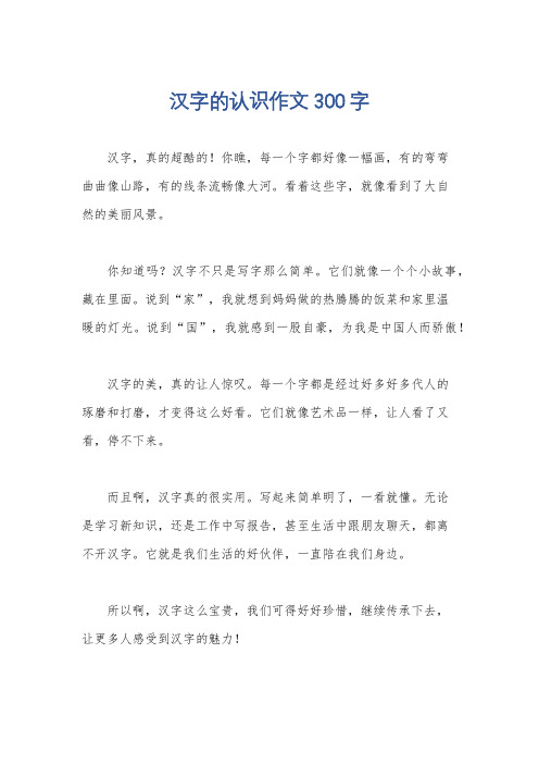 汉字的认识作文300字