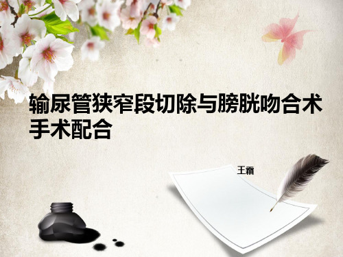 输尿管狭窄段切除与膀胱吻合术手术配合PPT课件