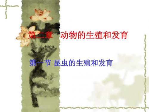 第一节 昆虫的生殖和发育