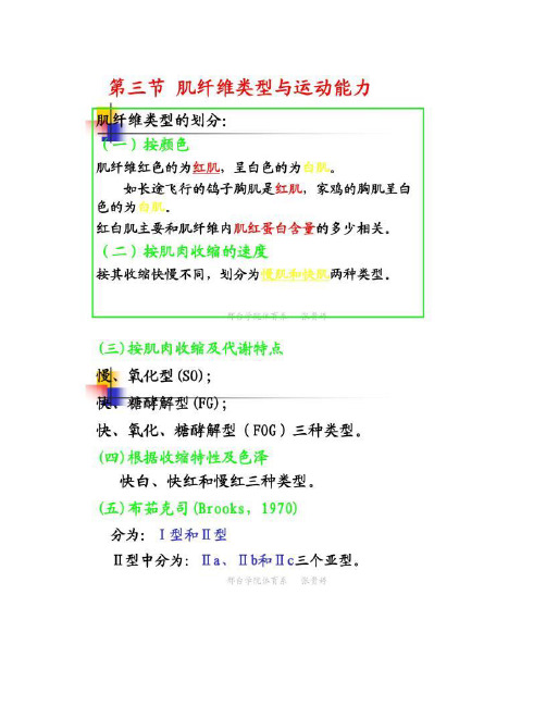 肌纤维类型与运动能力解读