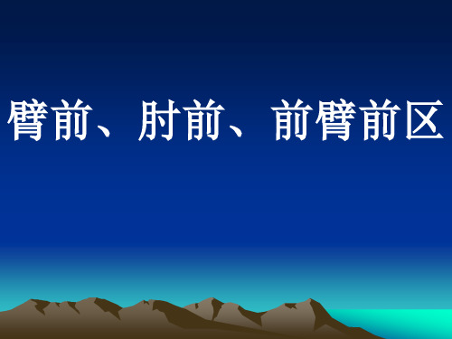 局解臂前、肘前、前臂前区