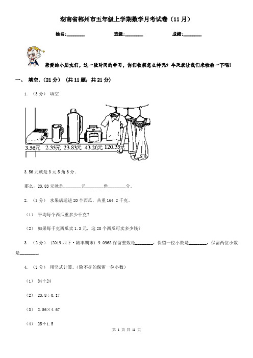 湖南省郴州市五年级上学期数学月考试卷(11月)