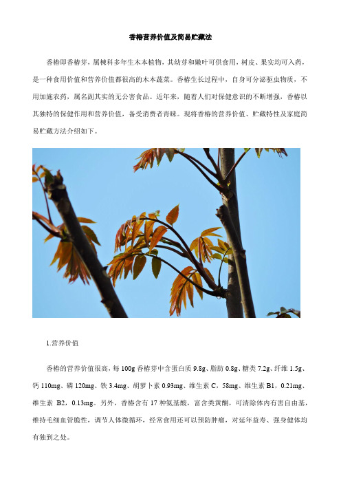 香椿营养价值及简易贮藏法