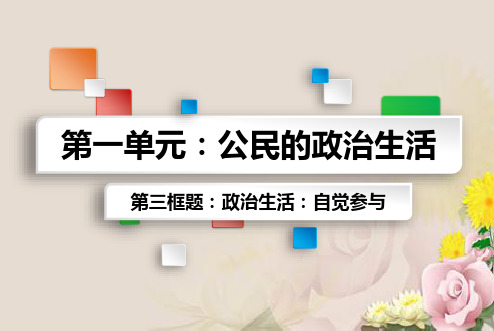 人教版高中政治必修二1.3 政治生活：自觉参与(22张PPT)