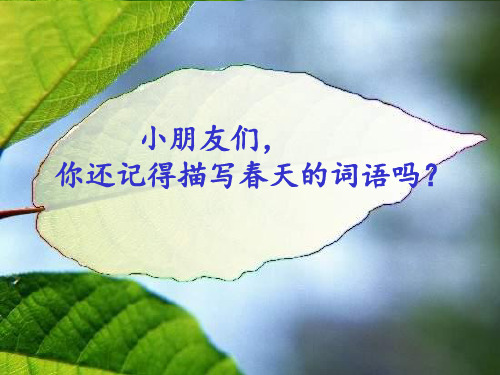 人教版小学一年级语文下册《春雨的色彩》精品PPT课件