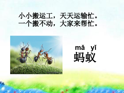 一年级下  识字 5    动物儿歌