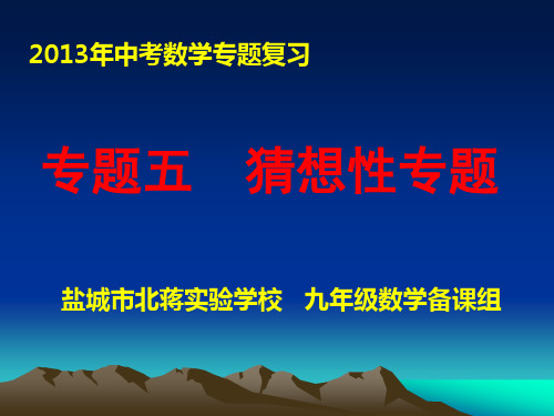 九年级数学总复习：猜想性专题