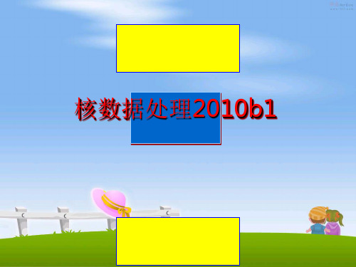 最新核数据处理b1