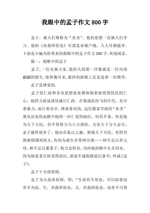 我眼中的孟子作文800字