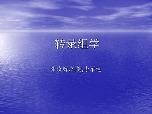 转录组学