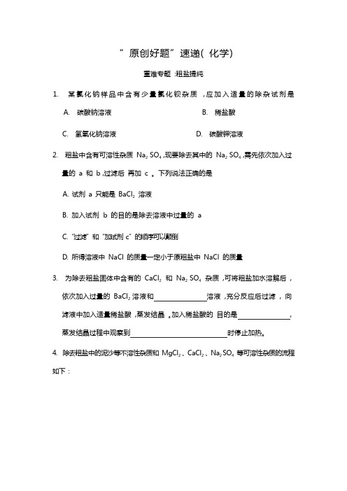 2023河南中考化学专题22  粗盐提纯(1)(5)