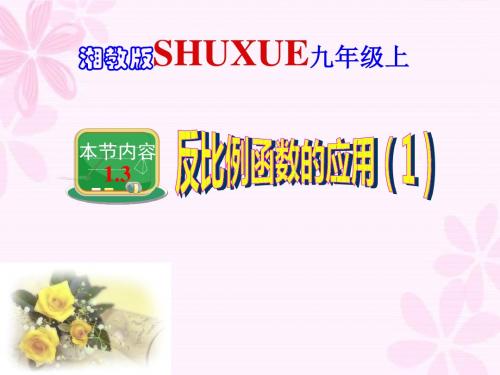 新湘教版九年级上册1.3.1反比例函数的应用(1) (共17张PPT)