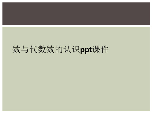 数与代数数的认识ppt课件