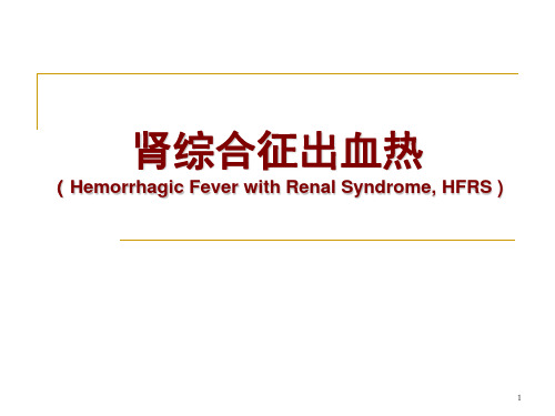 肾综合征出血热PPT课件