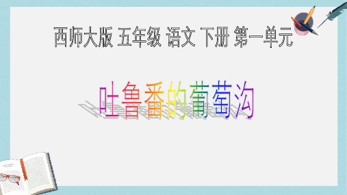 2019-2020年西师大版五年级语文下册第4课《吐鲁番的葡萄沟》课件共12张PPT