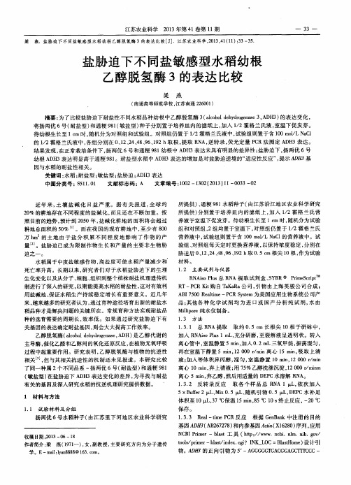 盐胁迫下不同盐敏感型水稻幼根乙醇脱氢酶3的表达比较