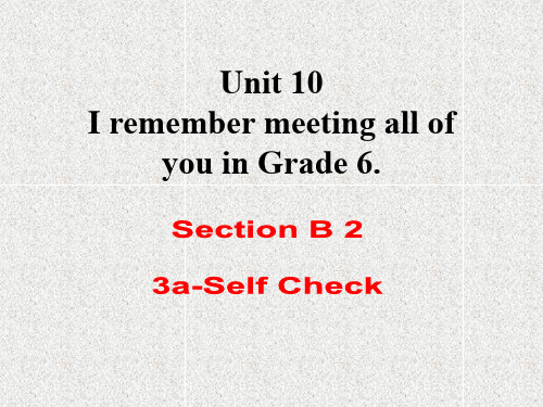 九年级英语unit 10《i remember meeting all...》(sectionb 3a-self check)课件