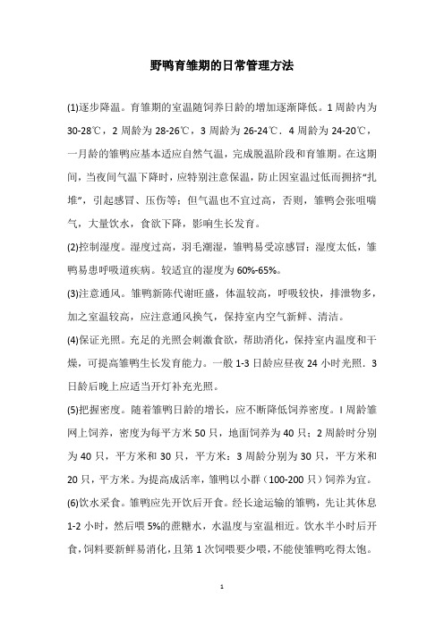 野鸭育雏期的日常管理方法