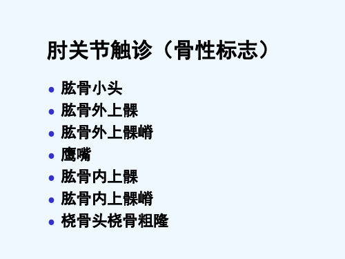 运动学——肘和前臂运动学实验