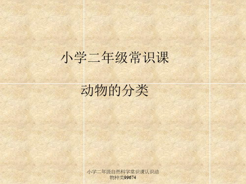 小学二年级自然科学常识课认识动物种类99674 ppt课件