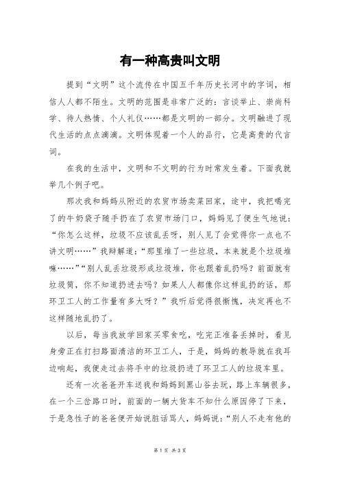 有一种高贵叫文明_高三作文