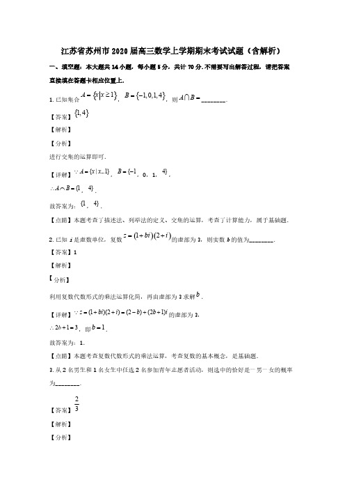 江苏省苏州市2020届高三数学上学期期末考试试题(含解析)