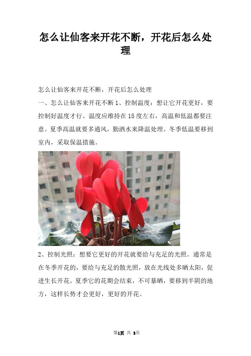 怎么让仙客来开花不断，开花后怎么处理
