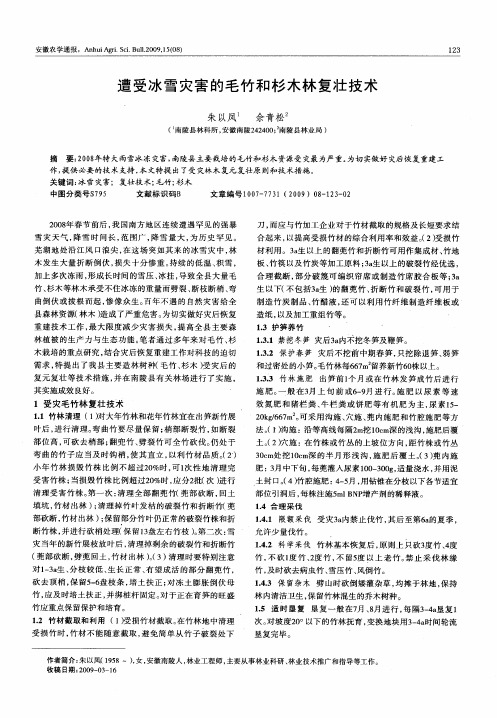 遭受冰雪灾害的毛竹和杉木林复壮技术