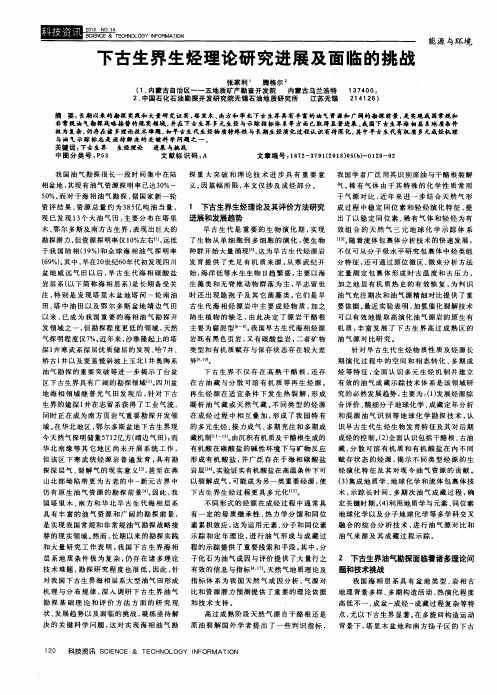 下古生界生烃理论研究进展及面临的挑战