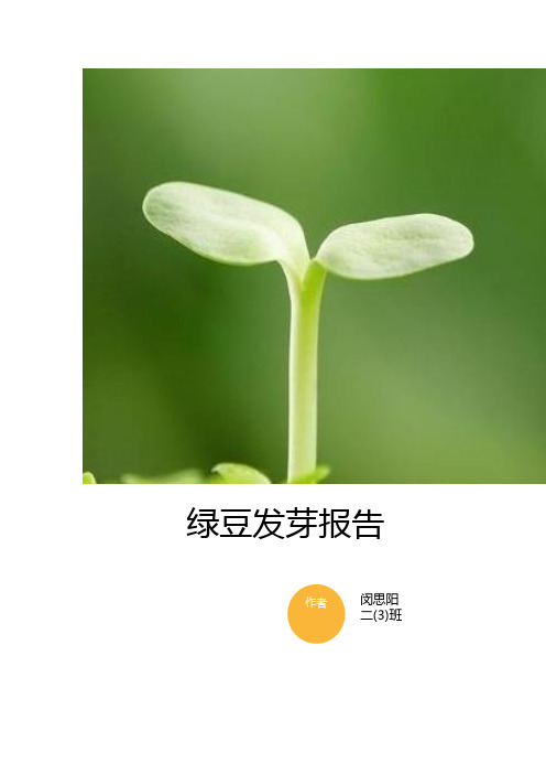 绿豆发芽实验
