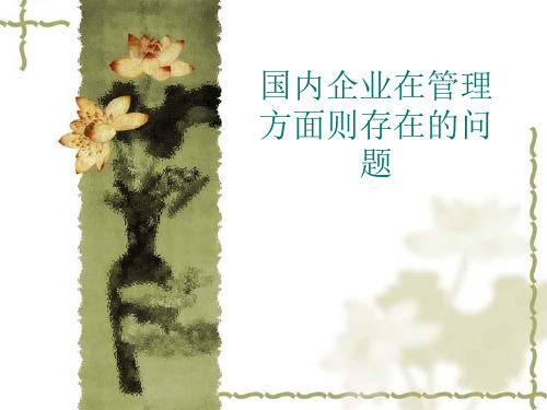 国内企业管理存在问题-PPT精选文档