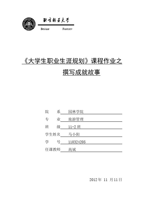 职业生涯规划之撰写成就故事