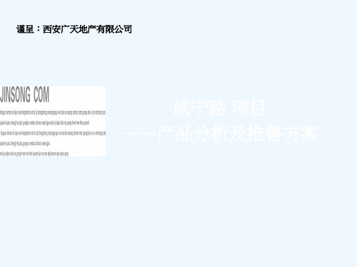 东郊LOFT产品分析及推售方案