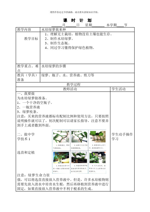 2021版劳动实践河北科学技术出版社二年级下册水培绿萝我来种教案