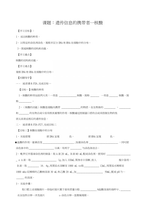 《遗传信息的携带者—---核酸》导学案2.docx