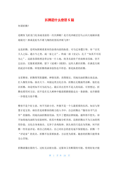折腾是什么意思5篇