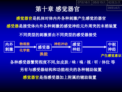 10-感觉器官 动物学课件